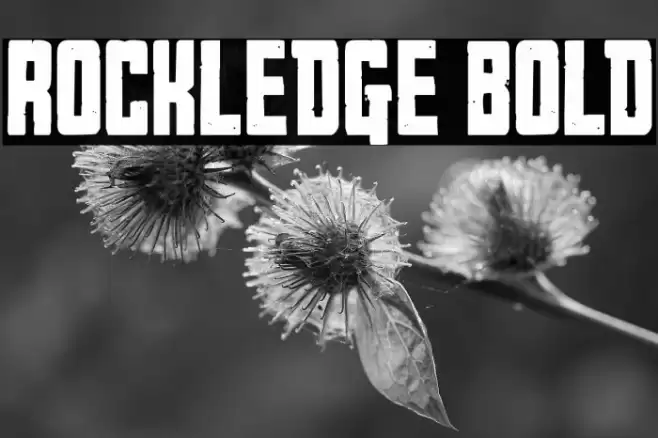 Rockledge Bold Font examples