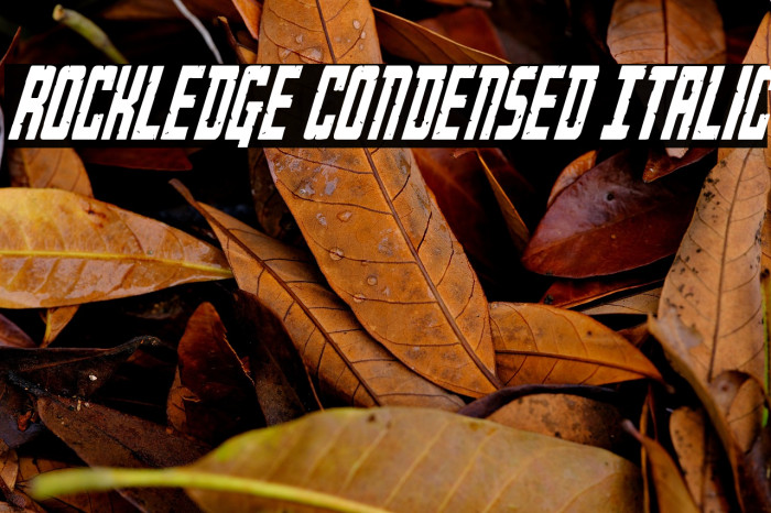 Rockledge Condensed Italic Example 3