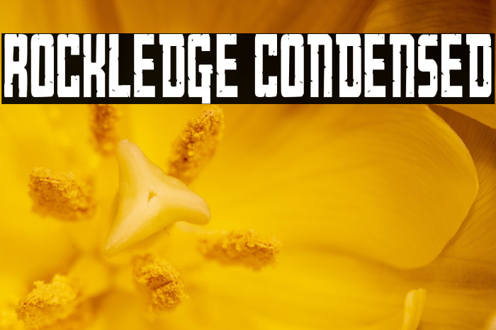 Rockledge Condensed Example 1