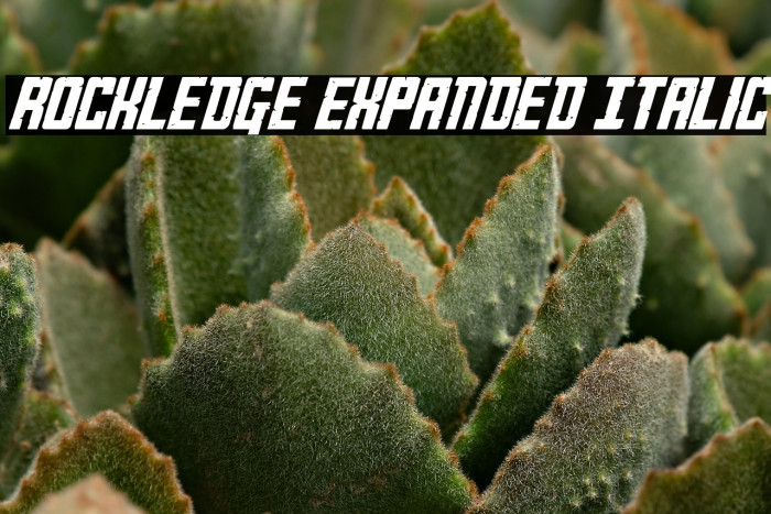 Rockledge Expanded Italic Example 1