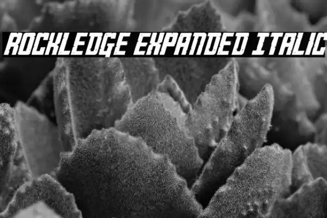 Rockledge Expanded Italic Font examples