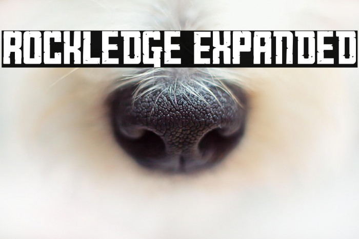 Rockledge Expanded Example 3