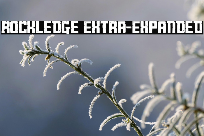 Rockledge Extra-Expanded Example 1