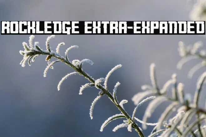 Rockledge Extra-Expanded Example 1