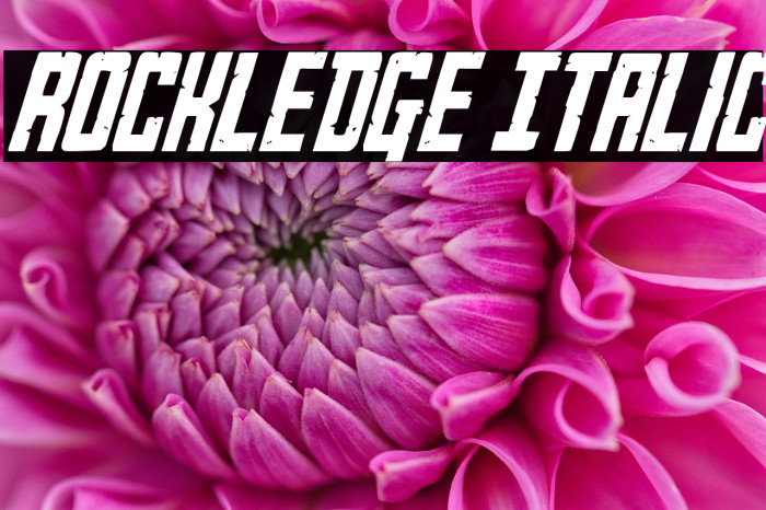 Rockledge Italic Example 3