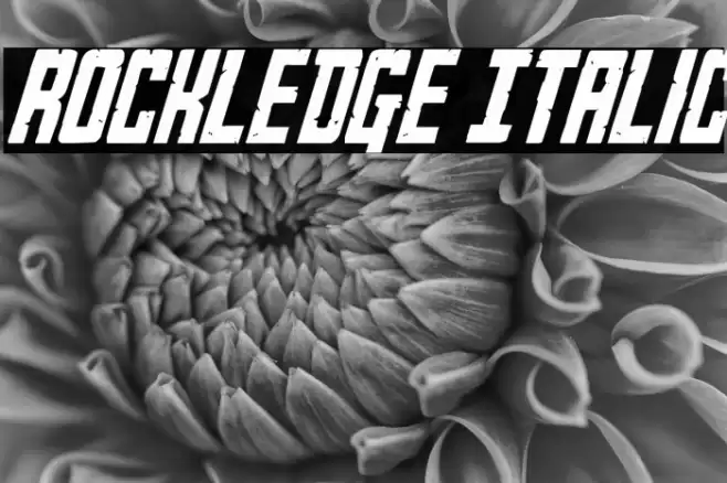 Rockledge Italic Font examples