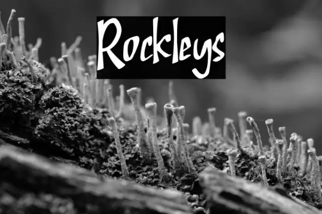 Rockleys Font examples