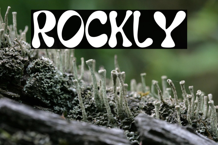 Rockly Example 2