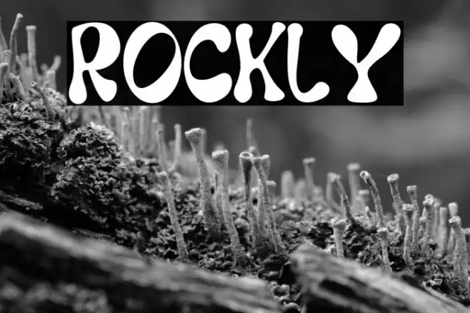 Rockly Font examples