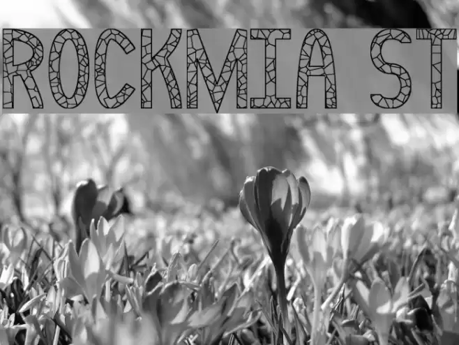 Rockmia St Font examples