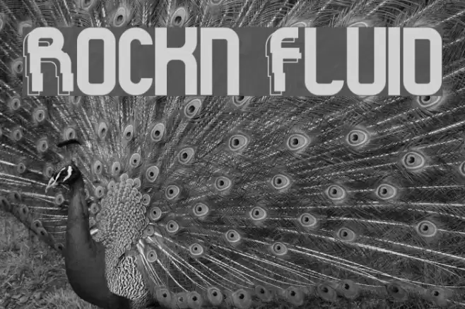 Rock'n Fluid Font examples