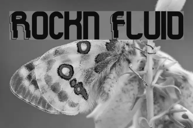 Rock'n Fluid Font examples