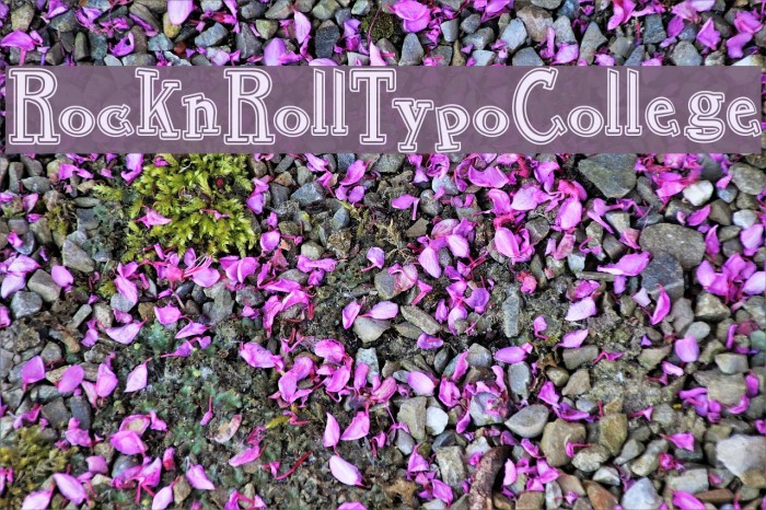 RocknRollTypoCollege フォント examples
