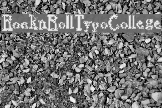 RocknRollTypoCollege Font examples
