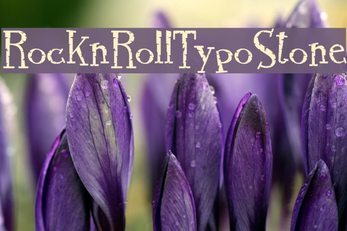 RocknRollTypoStone Font examples
