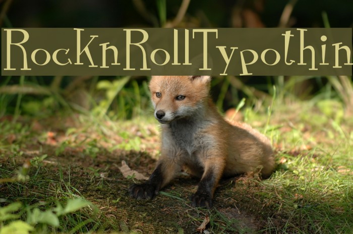 RocknRollTypothin Example 3