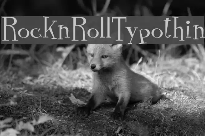 RocknRollTypothin Font examples