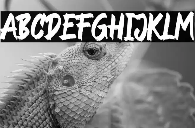 Rockndut Font examples