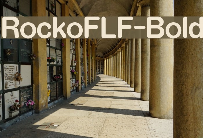 RockoFLF-Bold Font examples