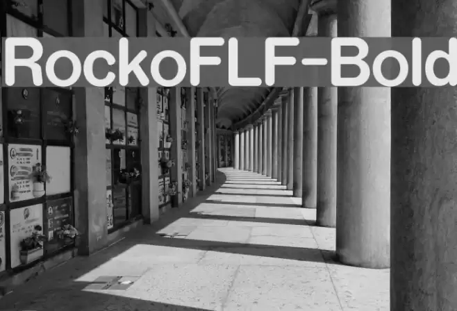 RockoFLF-Bold フォント examples
