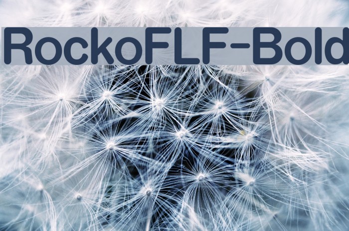 RockoFLF-Bold Font examples