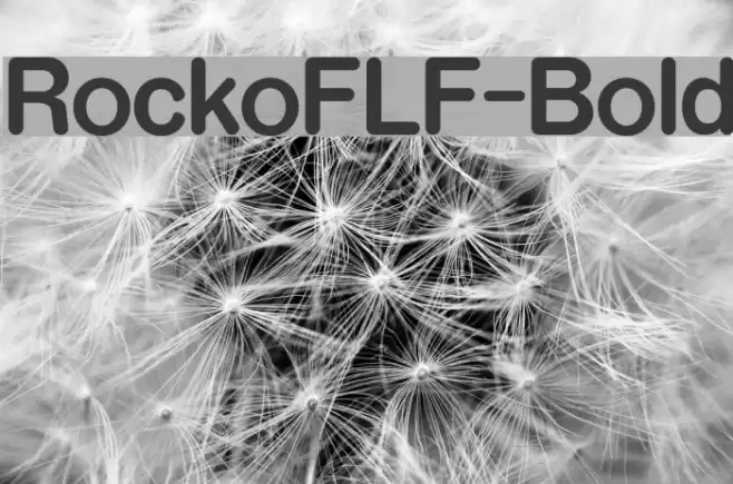 RockoFLF-Bold フォント examples