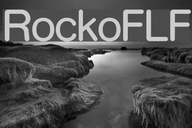 RockoFLF examples