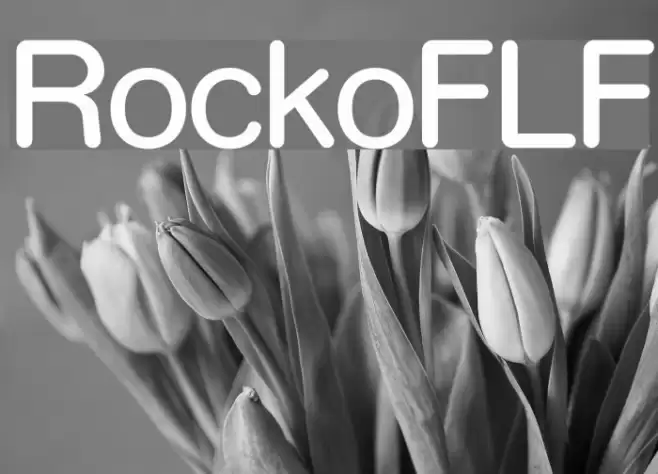 RockoFLF examples