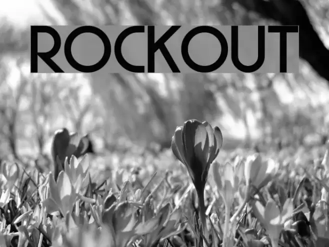 Rockout Font examples