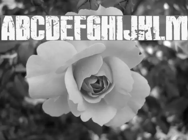 Rock's Death Font examples