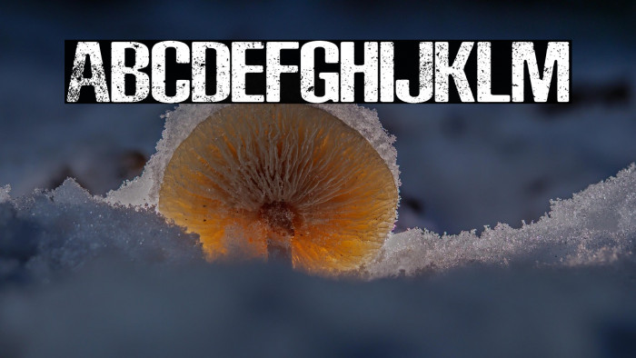 Rocks Personal Use Example 2