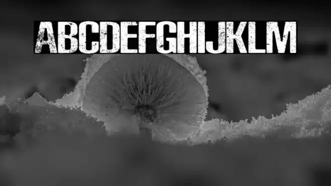 Rocks Personal Use Font examples