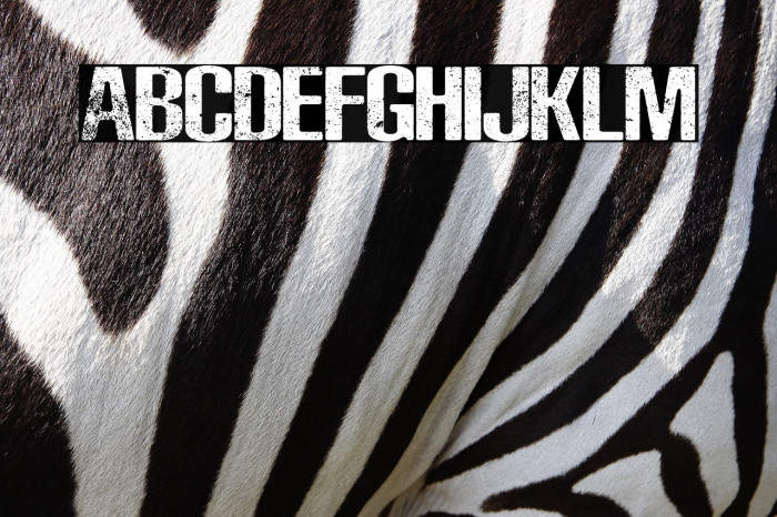 Rocks Personal Use Example 3