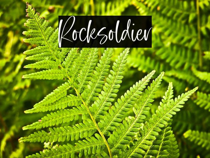 Rocksoldier Example 3