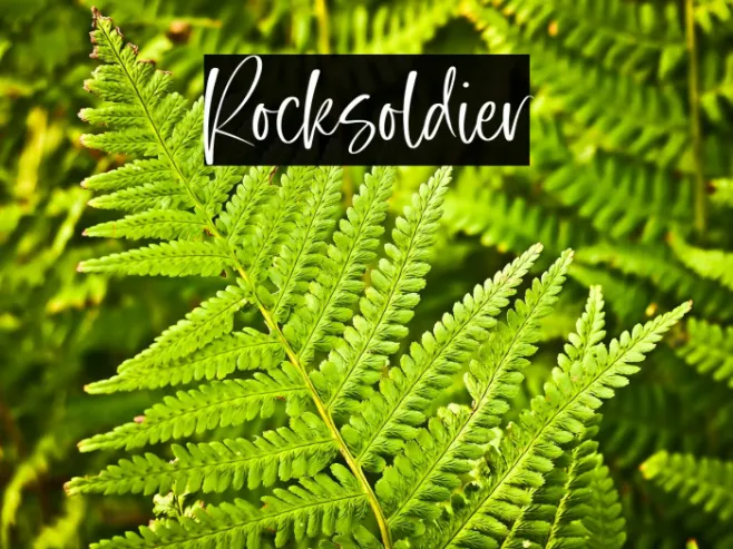 Rocksoldier Example 3