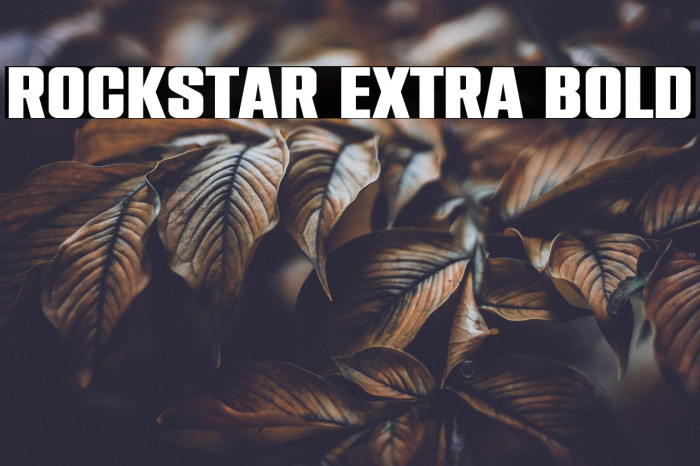 Rockstar Extra Bold Example 2