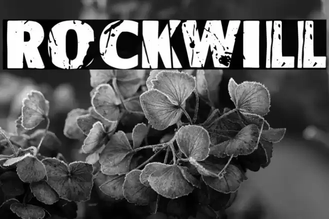 Rockwill Font examples