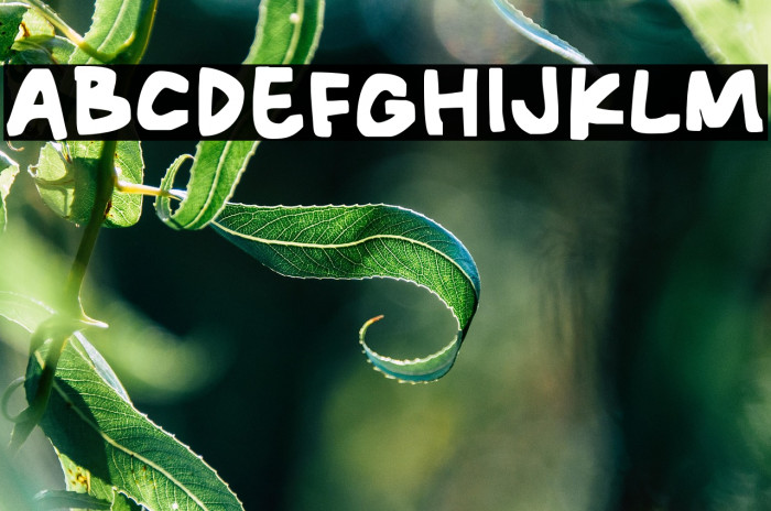 Rocky Block Example 1