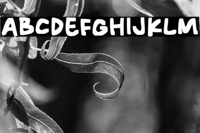 Rocky Block 字体 examples