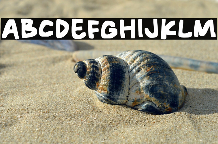 Rocky Block Example 2