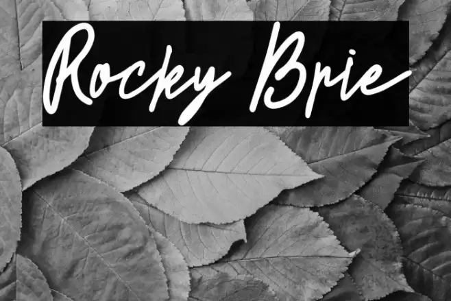 Rocky Brie Font examples