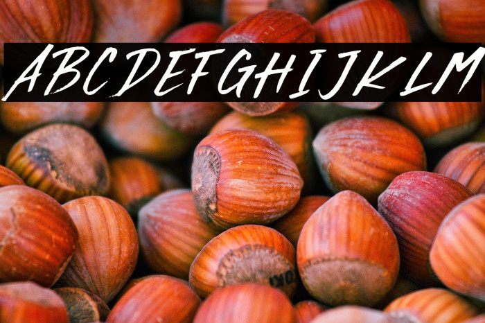 Rocky Brush Italic Example 1