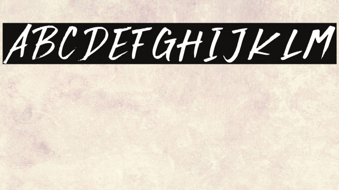 Rocky Brush Example 2