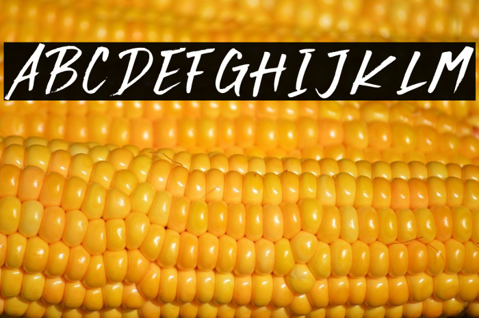 Rocky Brush Example 3