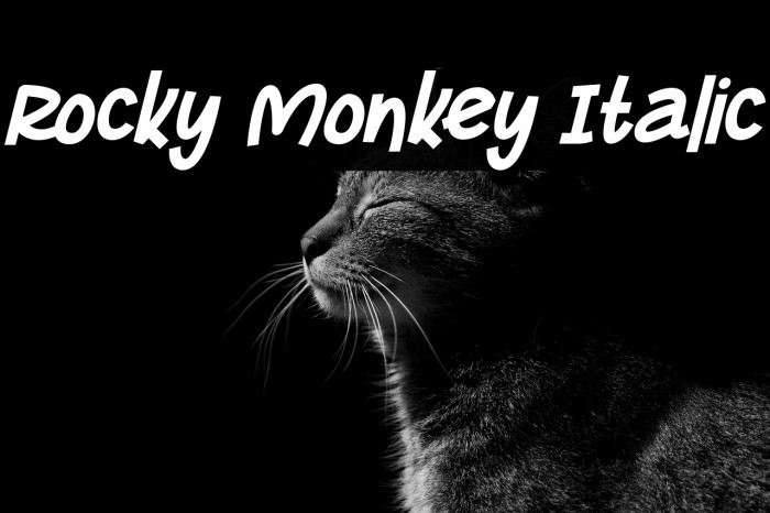 Rocky Monkey Italic Example 1