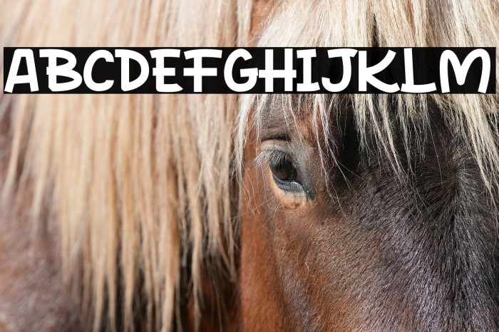 Rocky Monkey Example 3