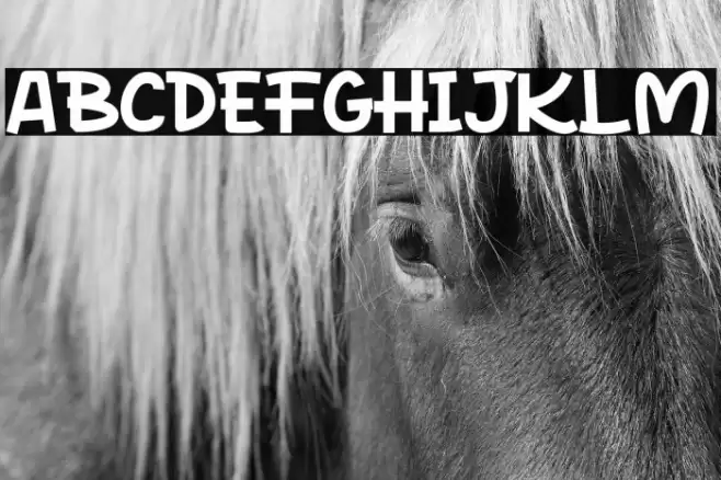 Rocky Monkey Font examples