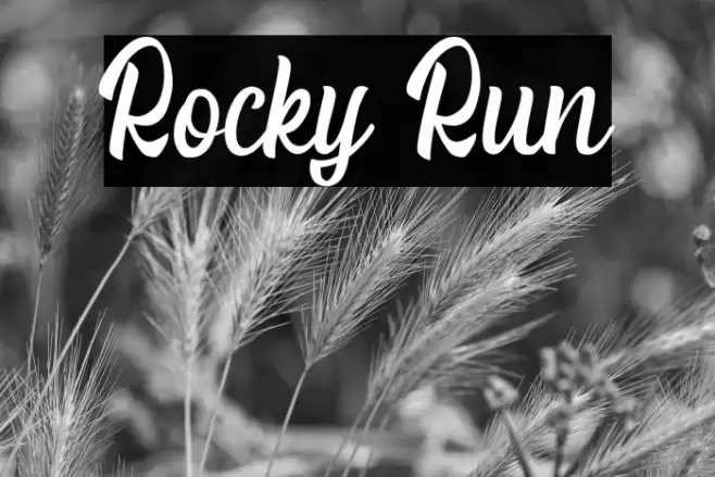 Rocky Run Font examples