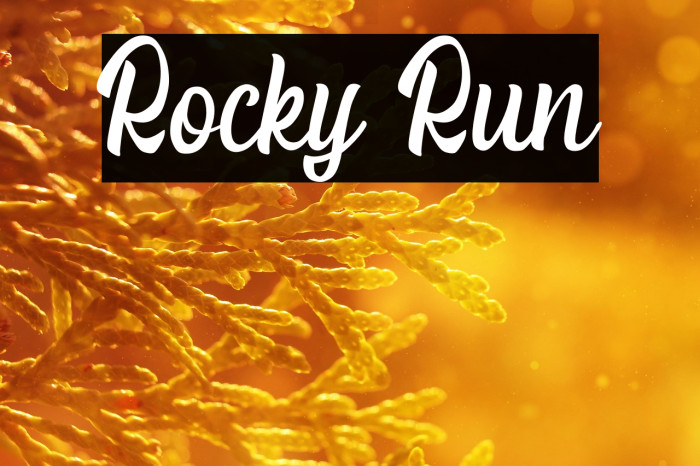 Rocky Run Example 3