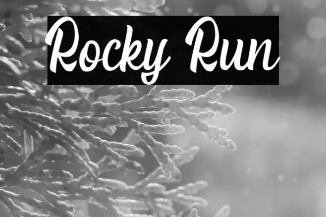 Rocky Run Font examples